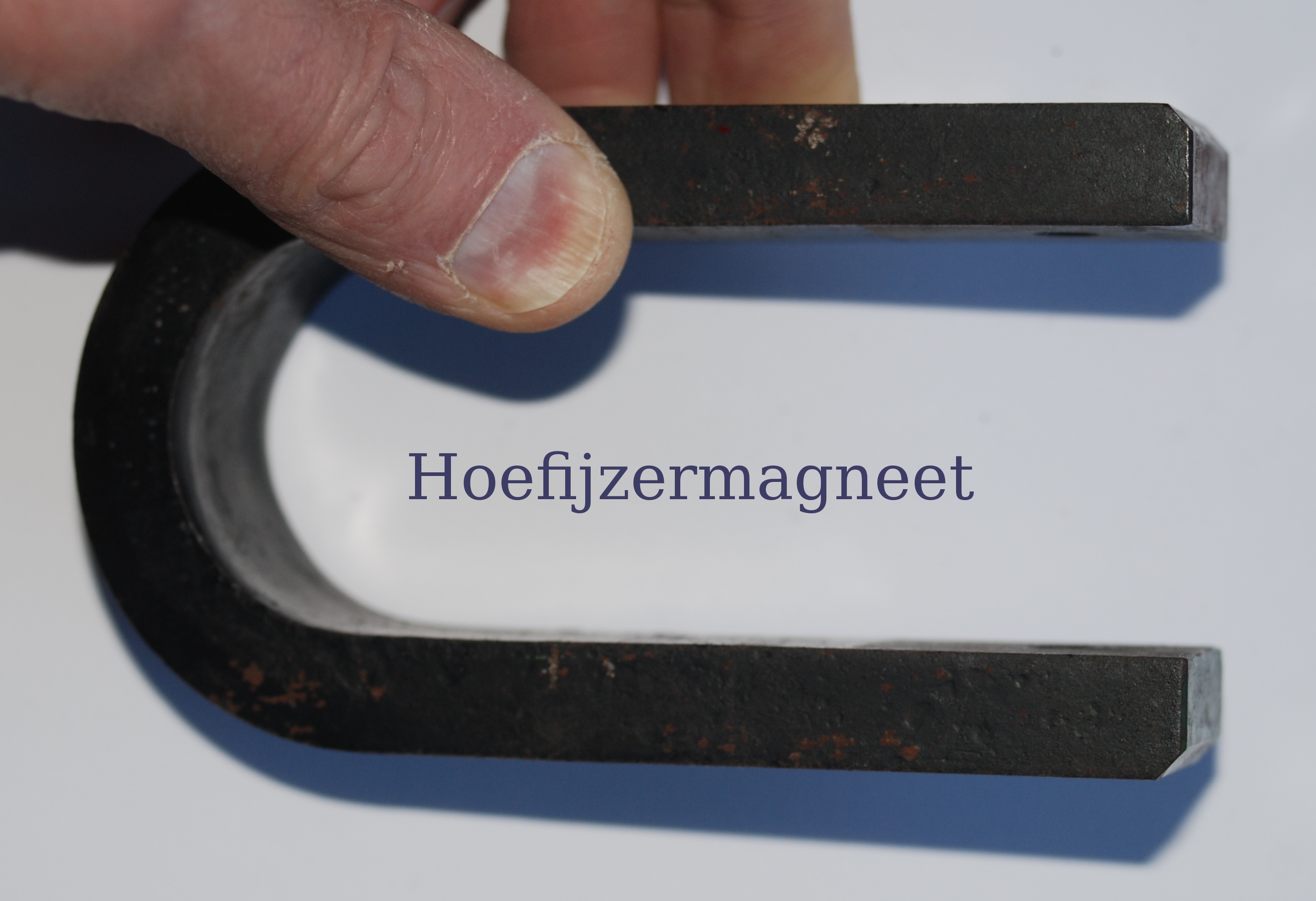 hoefijzermagneet.jpg