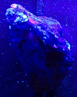 thumbnails/sodalite-Badakhshan-UV25276.jpg