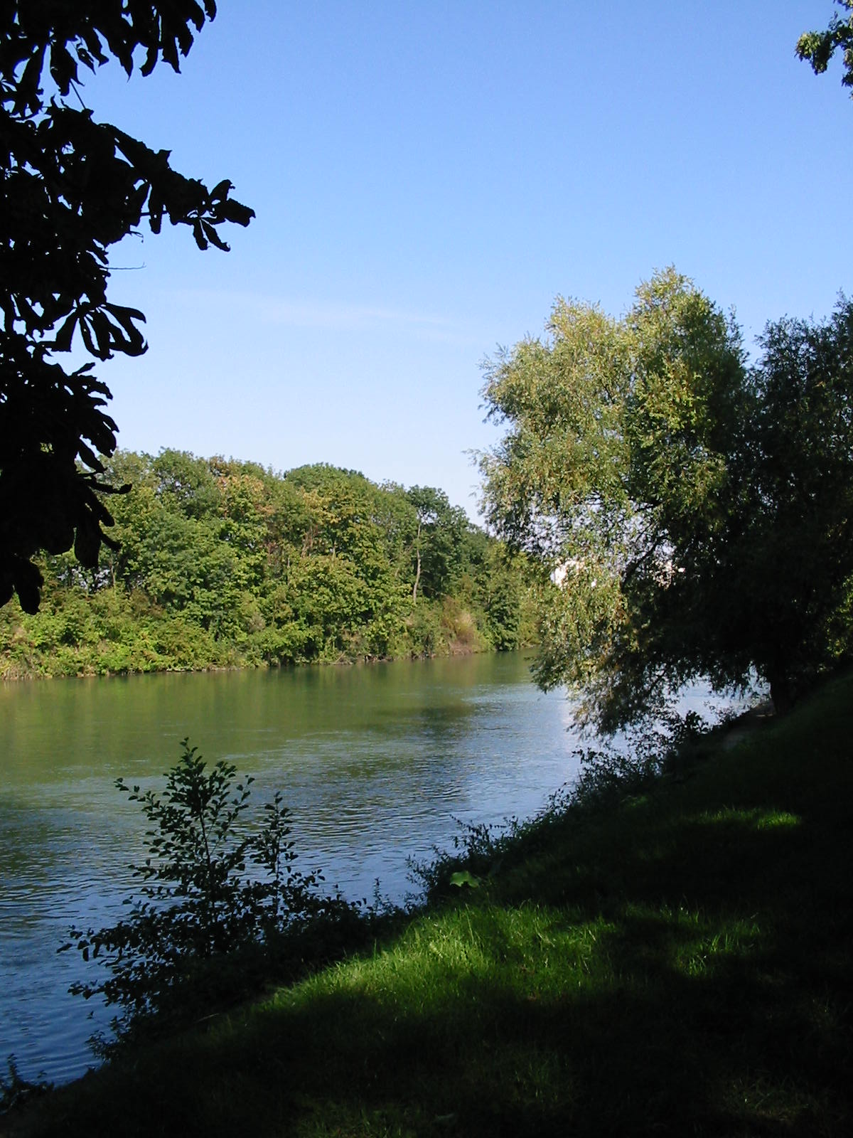 Bord_de_la_Marne.jpg