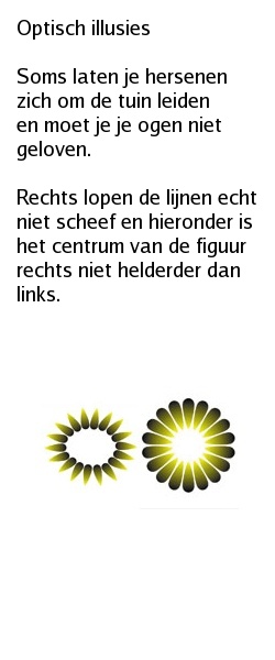 illusion-texted.jpg
