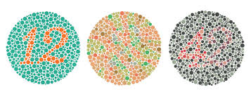 kleurenblindheidstest.jpg
